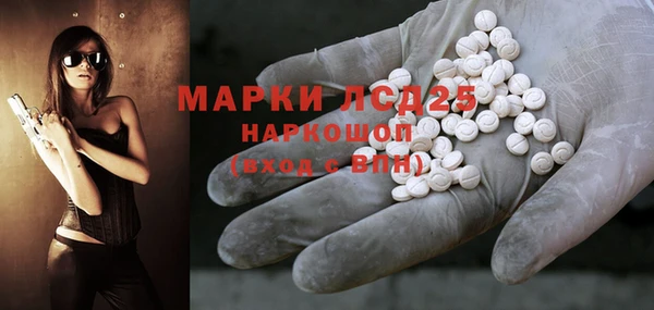 индика Нефтекумск