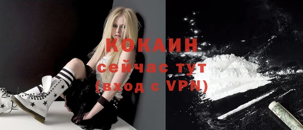 индика Нефтекумск