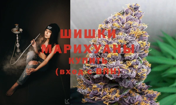 твердый Новодвинск