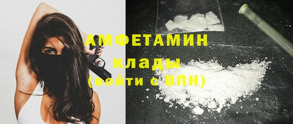 твердый Новодвинск