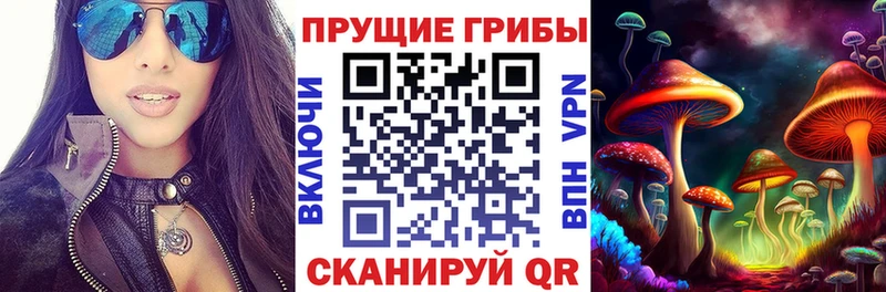 Галлюциногенные грибы мухоморы  Дербент 