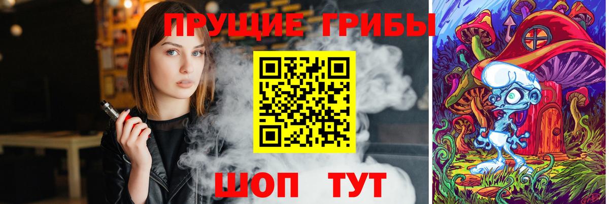 Псилоцибиновые грибы прущие грибы Дербент