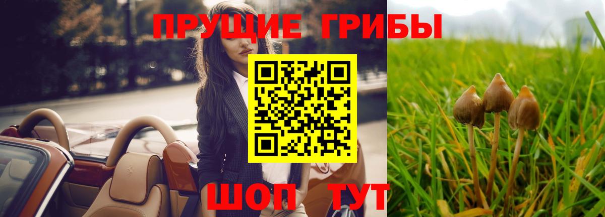 Галлюциногенные грибы ЛСД Дербент
